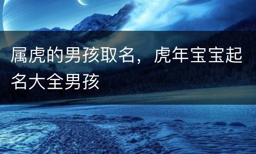 属虎的男孩取名，虎年宝宝起名大全男孩