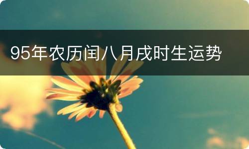 95年农历闰八月戌时生运势