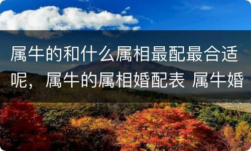 属牛的和什么属相最配最合适呢，属牛的属相婚配表 属牛婚配哪个
