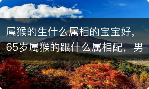 属猴的生什么属相的宝宝好，65岁属猴的跟什么属相配，男性属猴
