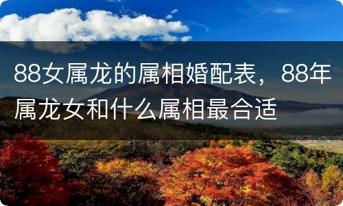 88女属龙的属相婚配表，88年属龙女和什么属相最合适