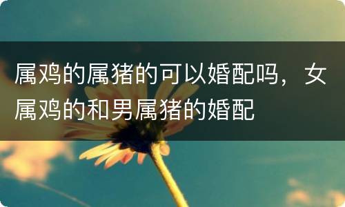 属鸡的属猪的可以婚配吗，女属鸡的和男属猪的婚配