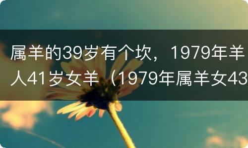 属羊的39岁有个坎，1979年羊人41岁女羊（1979年属羊女43岁后会大富大贵）