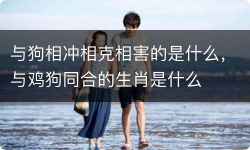 与狗相冲相克相害的是什么，与鸡狗同合的生肖是什么