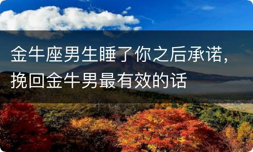 金牛座男生睡了你之后承诺，挽回金牛男最有效的话