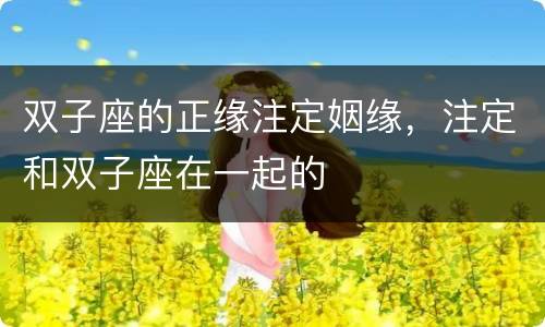 双子座的正缘注定姻缘，注定和双子座在一起的