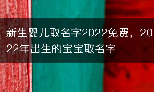 新生婴儿取名字2022免费，2022年出生的宝宝取名字