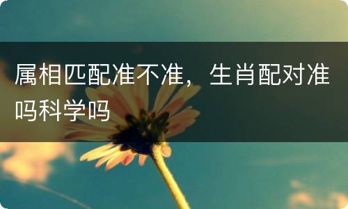 属相匹配准不准，生肖配对准吗科学吗