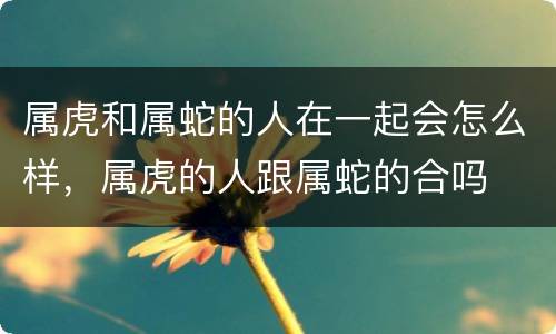 属虎和属蛇的人在一起会怎么样，属虎的人跟属蛇的合吗
