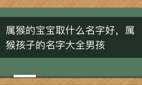属猴的宝宝取什么名字好，属猴孩子的名字大全男孩
