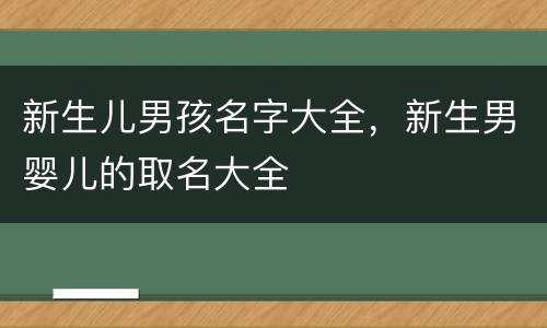 新生儿男孩名字大全，新生男婴儿的取名大全
