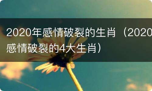2020年感情破裂的生肖（2020感情破裂的4大生肖）