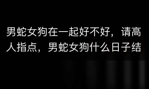 男蛇女狗在一起好不好，请高人指点，男蛇女狗什么日子结婚好啊？？？