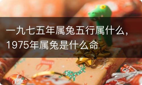 一九七五年属兔五行属什么，1975年属兔是什么命