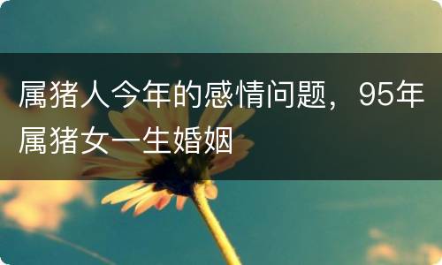 属猪人今年的感情问题，95年属猪女一生婚姻