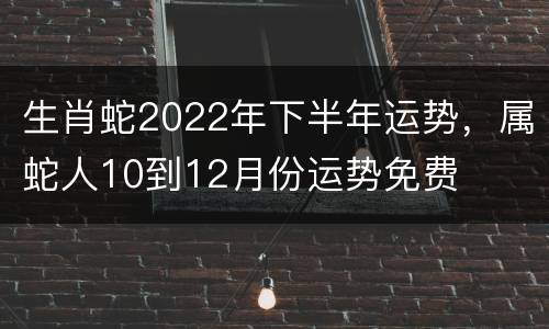 生肖蛇2022年下半年运势，属蛇人10到12月份运势免费