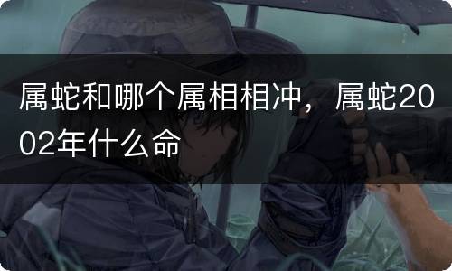 属蛇和哪个属相相冲，属蛇2002年什么命