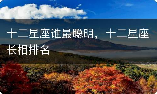 十二星座谁最聪明，十二星座长相排名
