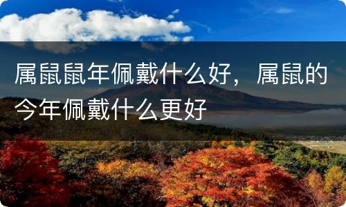 属鼠鼠年佩戴什么好，属鼠的今年佩戴什么更好
