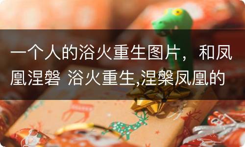 一个人的浴火重生图片，和凤凰涅磐 浴火重生,涅槃凤凰的图片