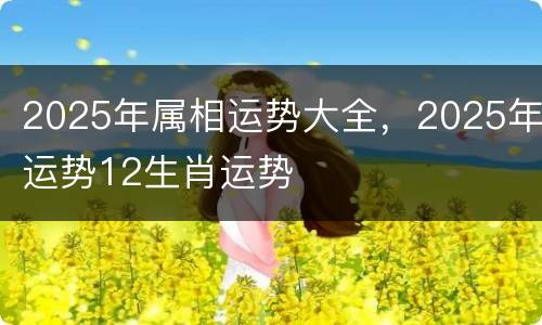 2025年属相运势大全，2025年运势12生肖运势