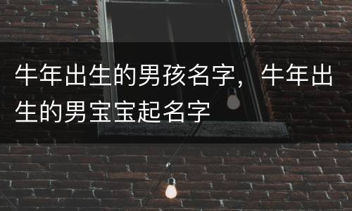 牛年出生的男孩名字，牛年出生的男宝宝起名字
