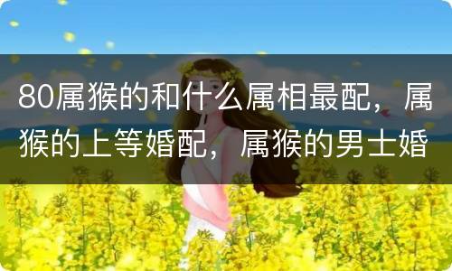 80属猴的和什么属相最配，属猴的上等婚配，属猴的男士婚配什么