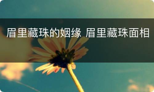 眉里藏珠的姻缘 眉里藏珠面相