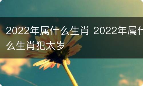 2022年属什么生肖 2022年属什么生肖犯太岁