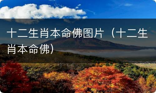 十二生肖本命佛图片（十二生肖本命佛）