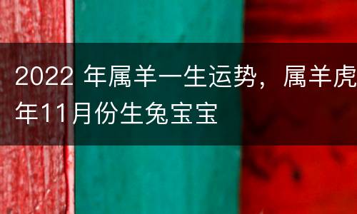 2022 年属羊一生运势，属羊虎年11月份生兔宝宝