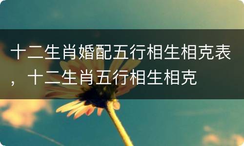 十二生肖婚配五行相生相克表，十二生肖五行相生相克