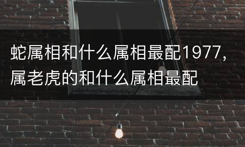 蛇属相和什么属相最配1977，属老虎的和什么属相最配