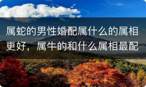 属蛇的男性婚配属什么的属相更好，属牛的和什么属相最配