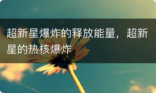 超新星爆炸的释放能量，超新星的热核爆炸