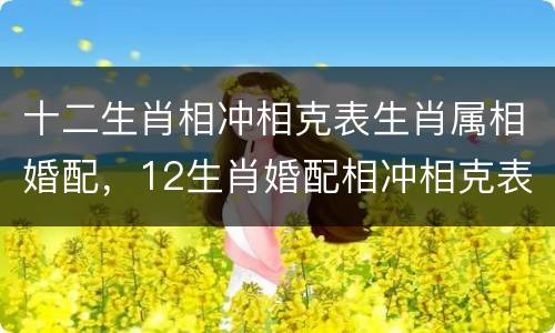 十二生肖相冲相克表生肖属相婚配，12生肖婚配相冲相克表