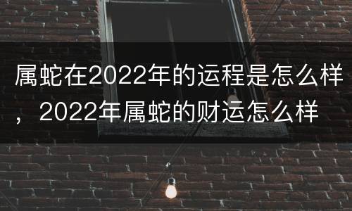 属蛇在2022年的运程是怎么样，2022年属蛇的财运怎么样