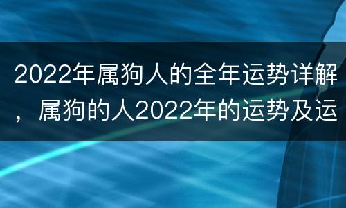 2022年属狗人的全年运势详解，属狗的人2022年的运势及运程