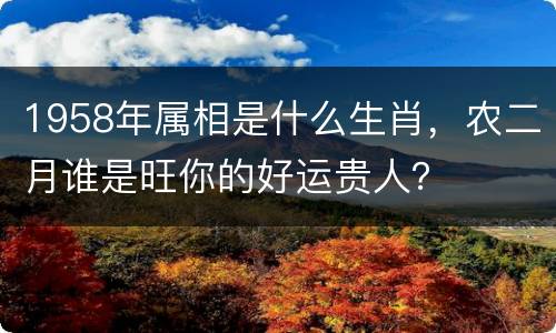 1958年属相是什么生肖，农二月谁是旺你的好运贵人？