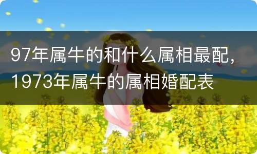 97年属牛的和什么属相最配，1973年属牛的属相婚配表