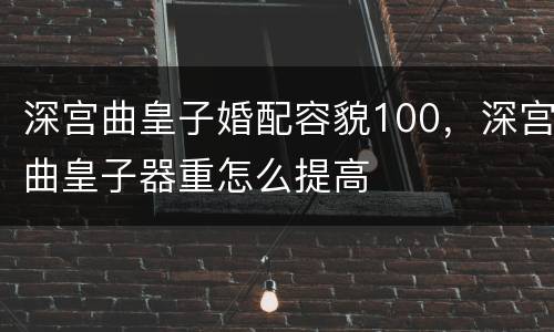 深宫曲皇子婚配容貌100，深宫曲皇子器重怎么提高