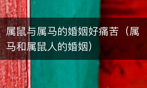 属鼠与属马的婚姻好痛苦（属马和属鼠人的婚姻）