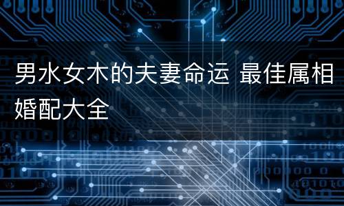 男水女木的夫妻命运 最佳属相婚配大全