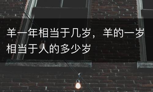羊一年相当于几岁，羊的一岁相当于人的多少岁