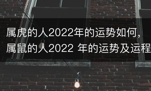 属虎的人2022年的运势如何，属鼠的人2022 年的运势及运程