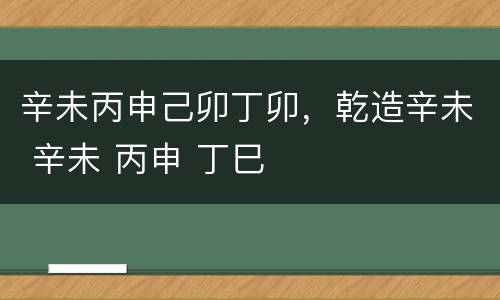 辛未丙申己卯丁卯，乾造辛未 辛未 丙申 丁巳
