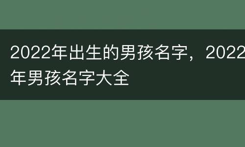 2022年出生的男孩名字，2022年男孩名字大全