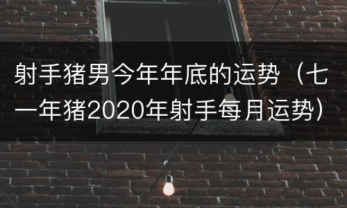 射手猪男今年年底的运势（七一年猪2020年射手每月运势）