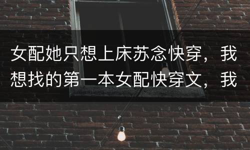 女配她只想上床苏念快穿，我想找的第一本女配快穿文，我也记不得女配的文字