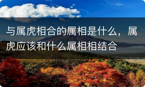 与属虎相合的属相是什么，属虎应该和什么属相相结合